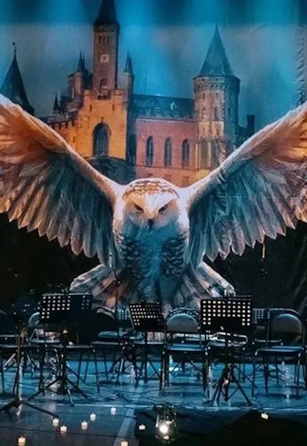 Harry Potter. Magic Music: концерт в Москве 7 января 2027