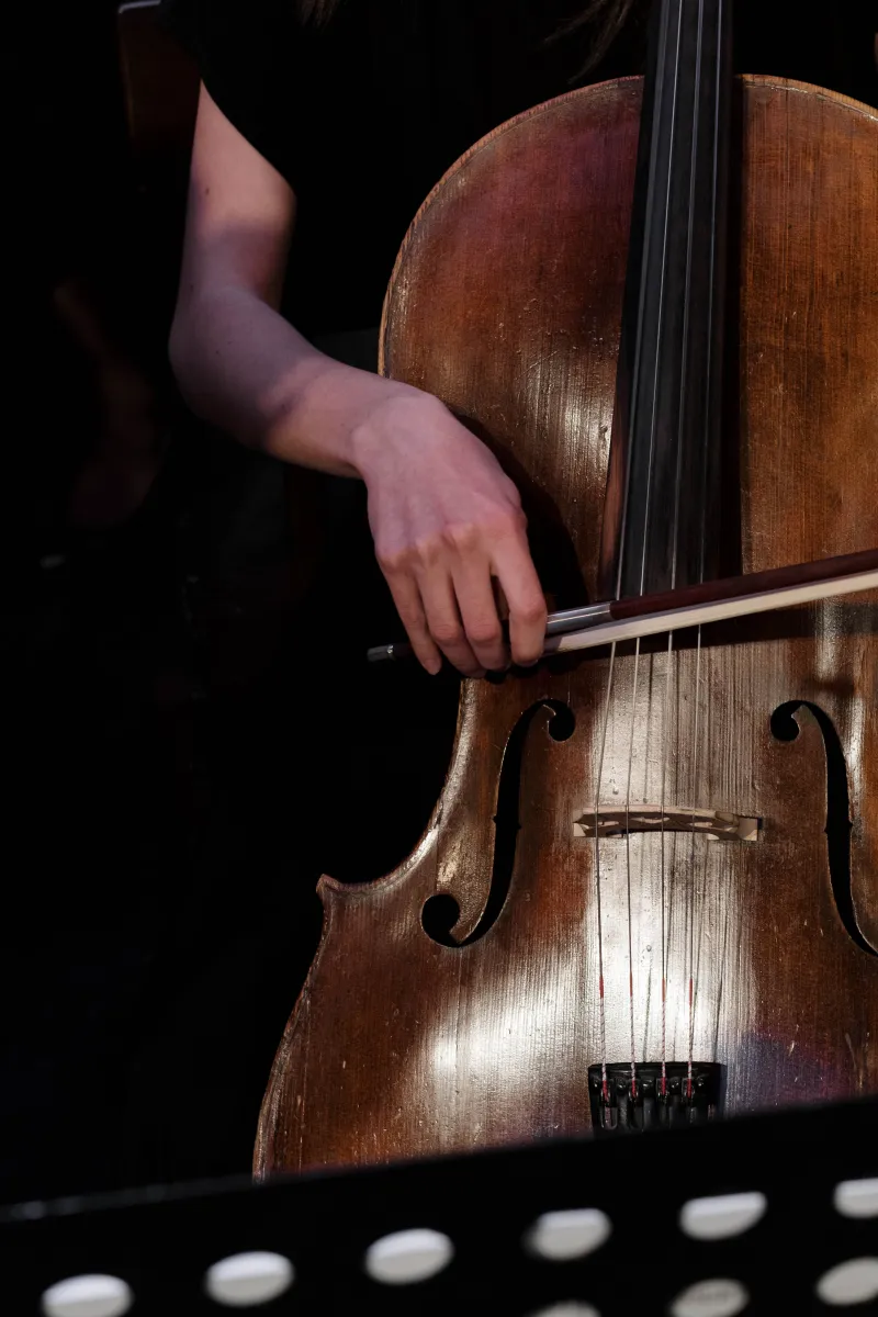 Dreamers Cello: Рок на виолончелях в Петрозаводске 12.12.2026