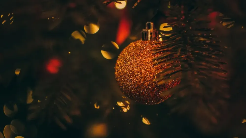 Концерт Happy New Year при свечах в Оранжерее СПб