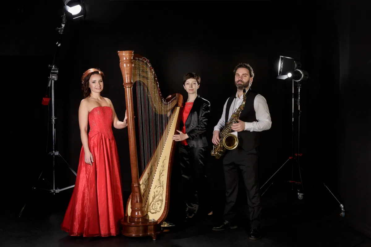 Билеты на Арфа, дудук и орган: танго и классика 08 фев 2026