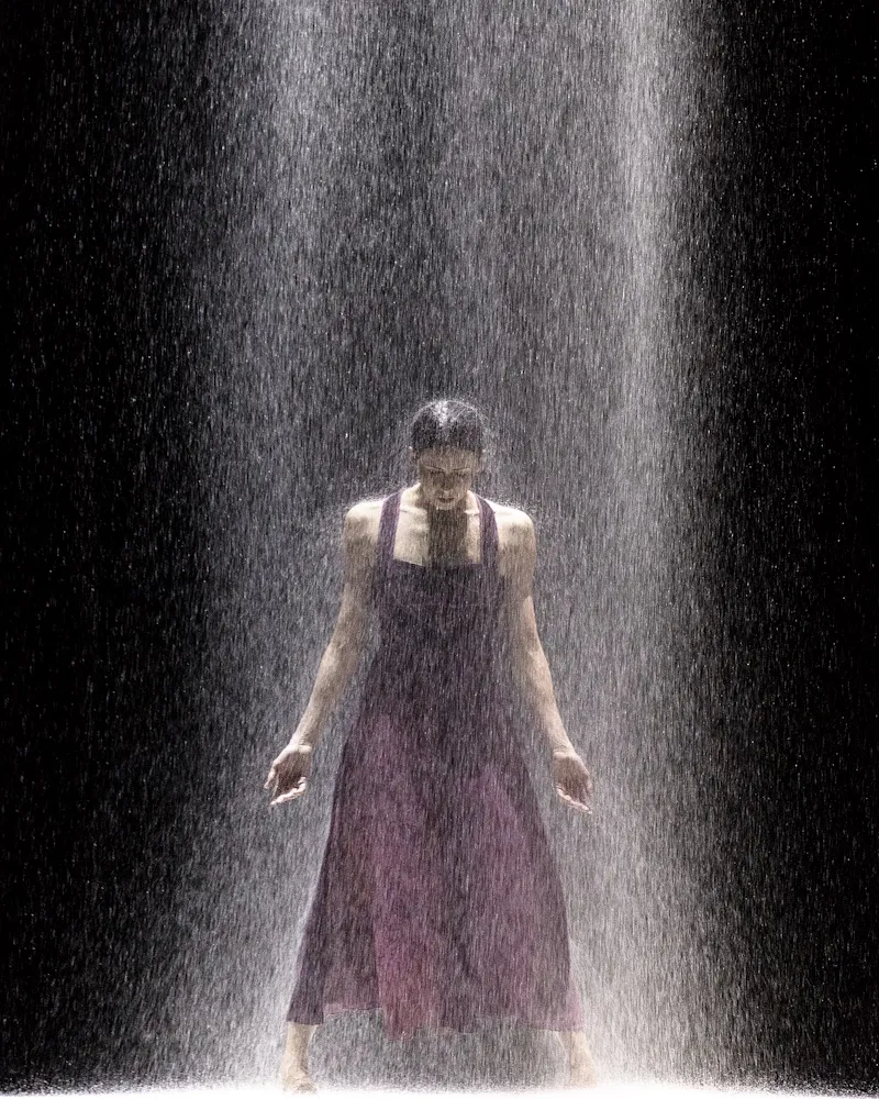 Билеты на балет: Без слов, Прелюдия, Белая тьма 19 фев 2026 СПб