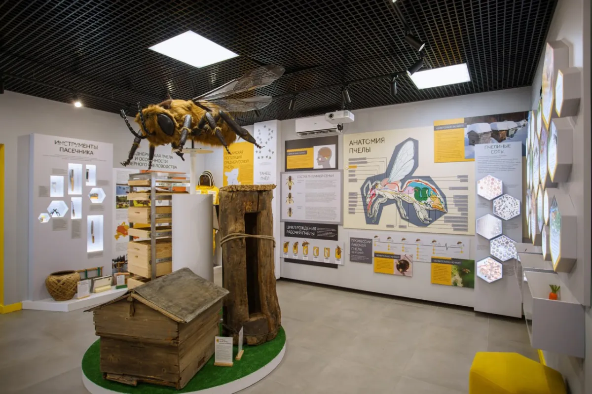 Билеты на Экскурсия в мир Тенториум 04 янв 2026