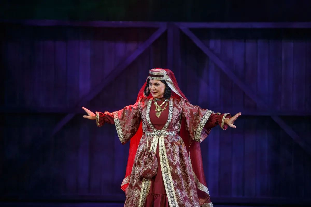 Билеты на «Ханума» 25 дек 2025 в СПб | Балтийский дом