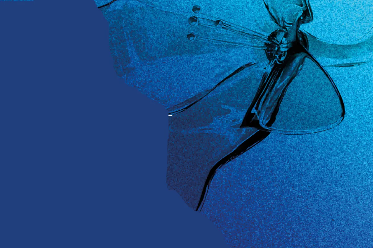 Билеты на Хор как жизнь. Москва. 08 фев 2026