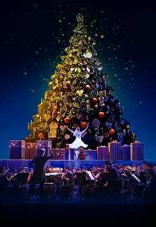 Билеты на концерт Чайковский 28 дек 2025 Москва