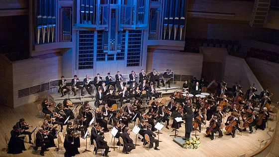 Билеты на концерт «Северная Симфония» 29 янв 2026 СПб