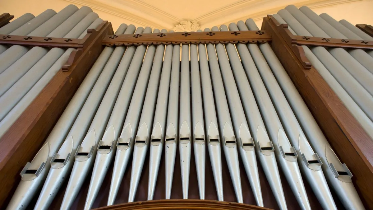 Билеты на концерт Вивальди в СПб 17 фев 2026