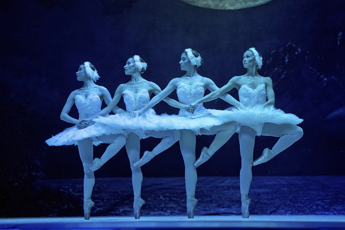 Билеты на Лебединое озеро, Омск 28 янв 2026