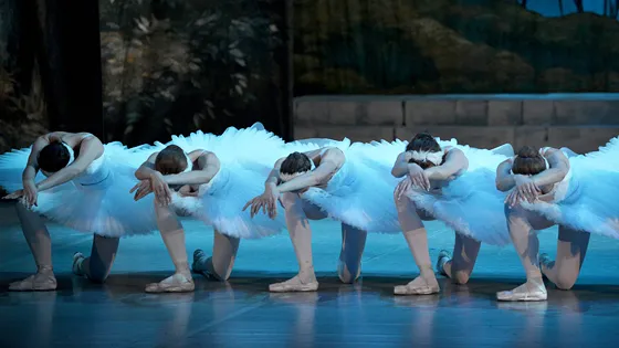 Билеты на Лебединое озеро в Москве 13 мар 2026