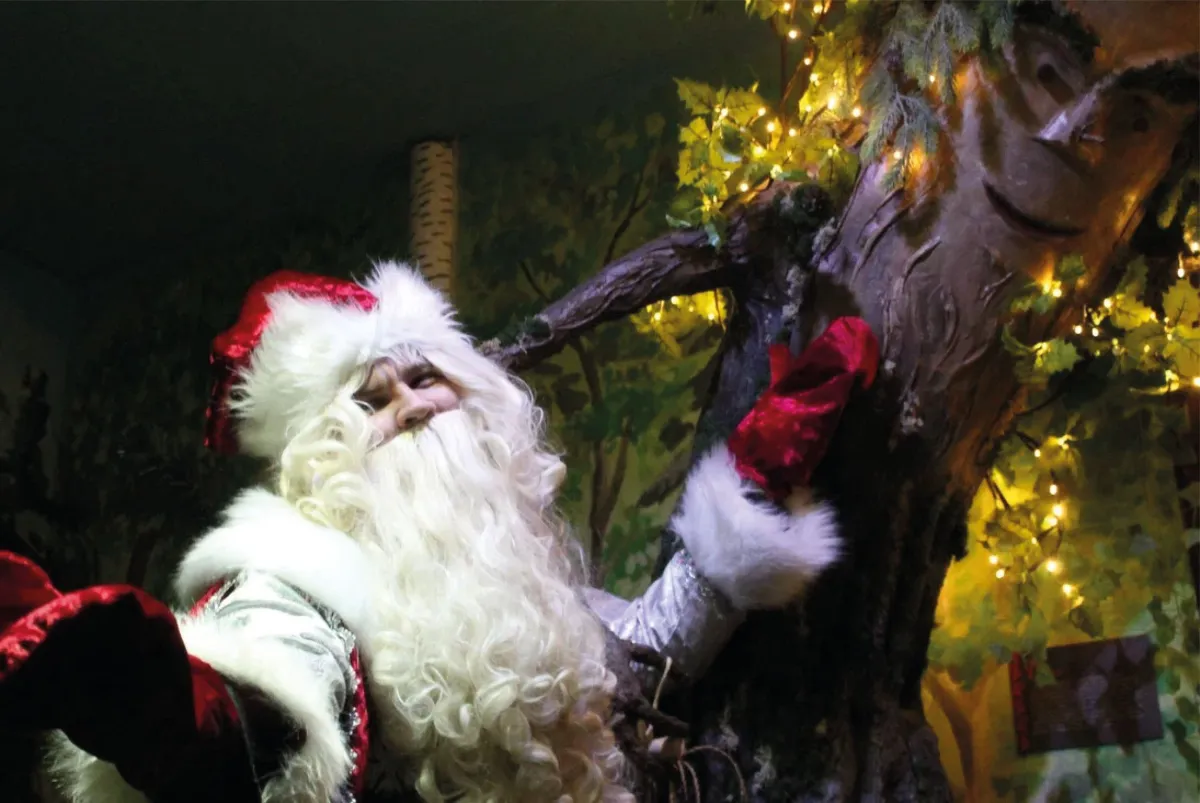 Билеты на Новогоднюю сказку для взрослых, СПб, 04 янв 2026