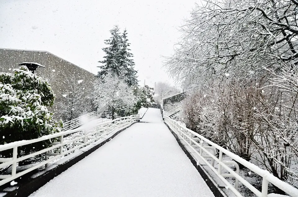 Билеты на Рождество вокруг света 19 дек 2025 Москва