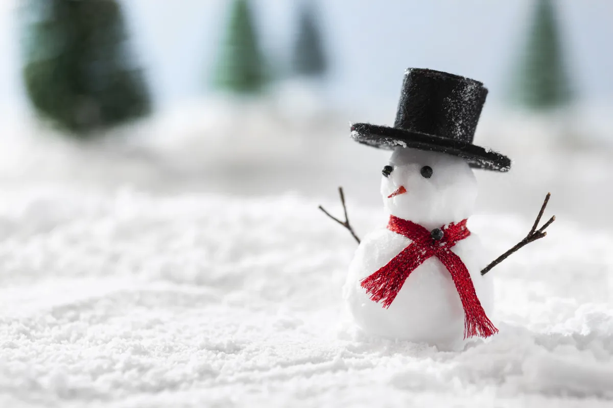 Билеты на Снеговик-почтовик 26 Дек 2025 Великий Новгород