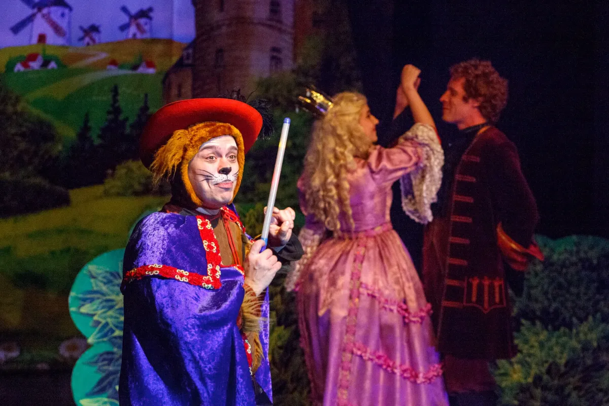 Билеты на спектакль «Кот в сапогах» в Истре 22 Мар 2026