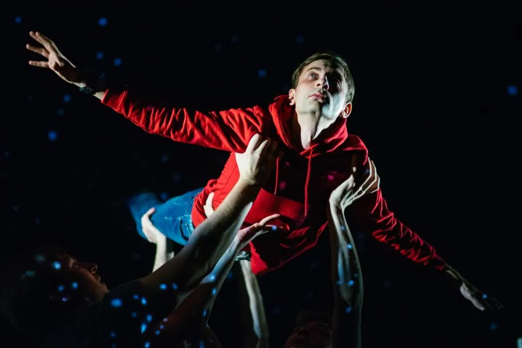 Билеты на спектакль «Загадочное убийство собаки» 27 янв 2026