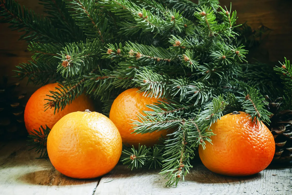 Билеты на встречу с Дедом Морозом в Перми 03 янв 2026