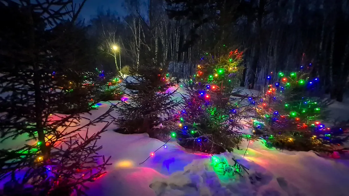 Билеты на Ёлки-палки – лагерь для взрослых 03–06 янв 2026