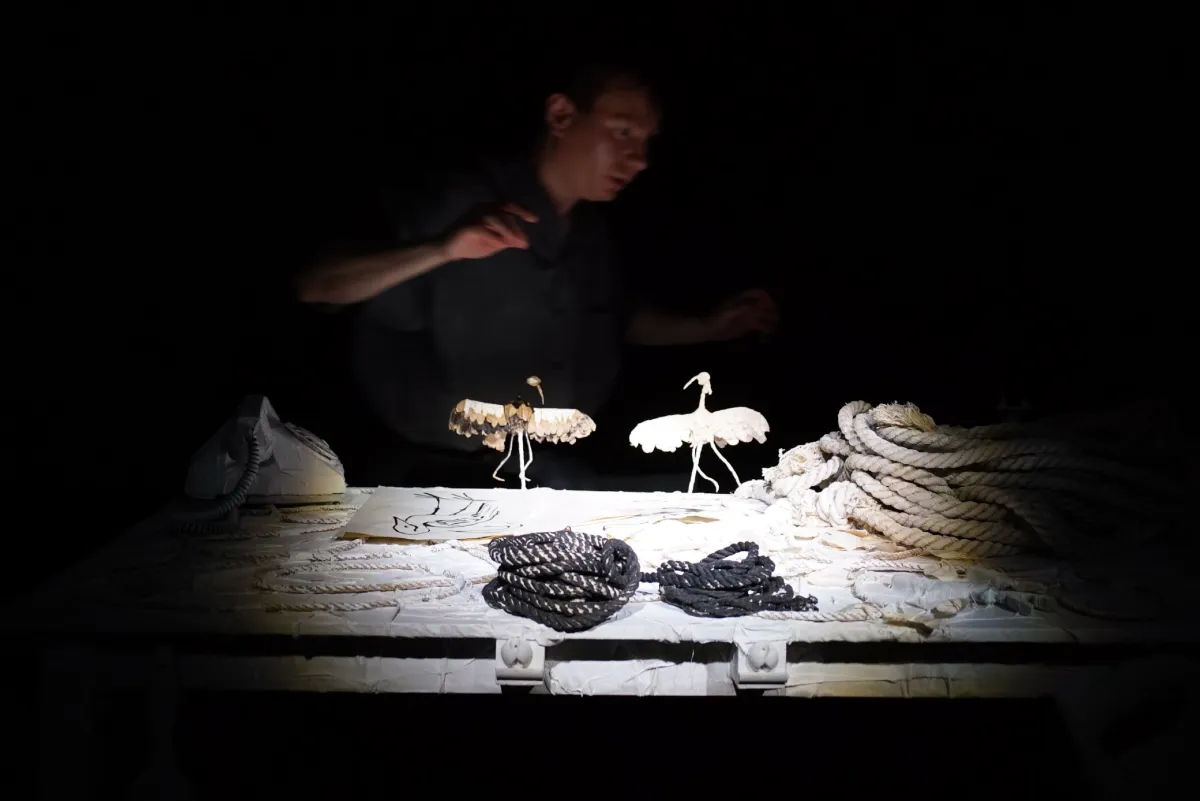 Билеты на Журавль и цаплю в Челябинске 31 янв 2026