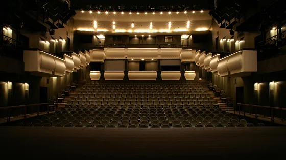 Билеты на Египетскую марку в Москве 28 дек 2025