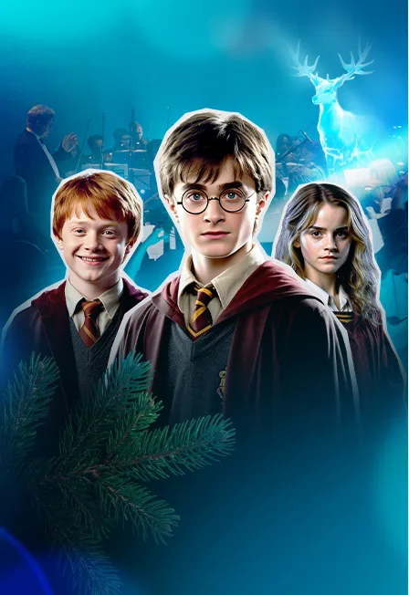 Билеты на концерт Гарри Поттер – 06 янв 2026 в Новосибирске