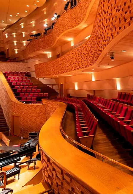 Билеты на концерт Лики современного пианизма 22 дек 2025 СПб