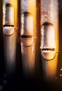 Билеты на органный концерт 20 дек 2025 в СПб