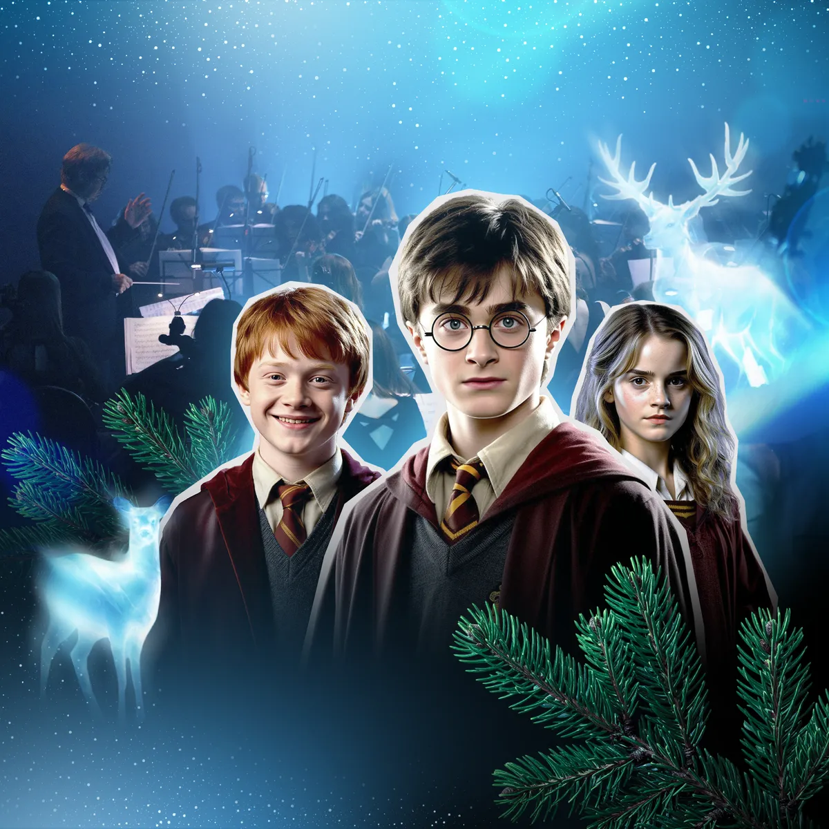 Билеты на Гарри Поттер: симфоническое шоу в Тобольске 04 янв 2026