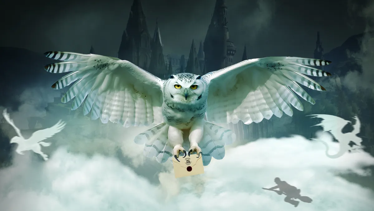 Билеты на концерт Гарри Поттер в Москве 20 дек 2025