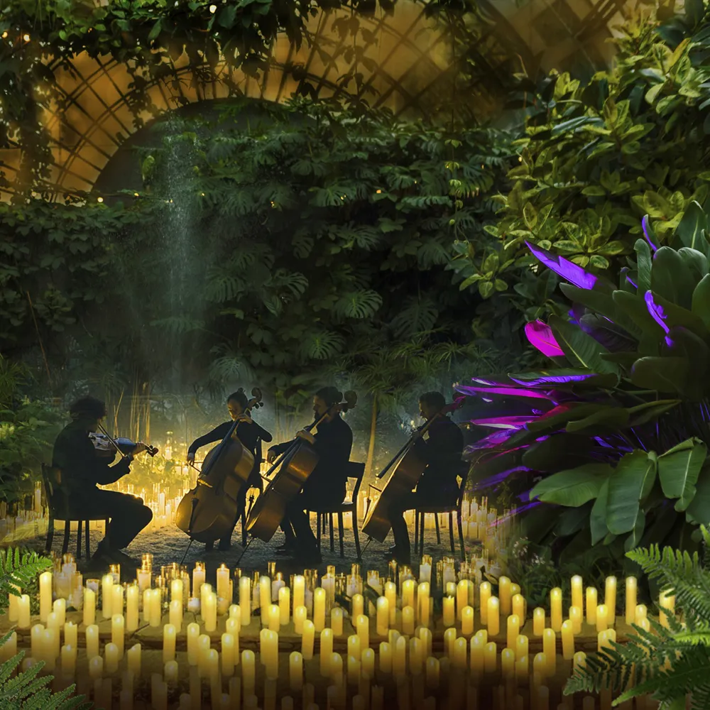 Билеты на концерт Эйнауди в СПб 28 дек 2025