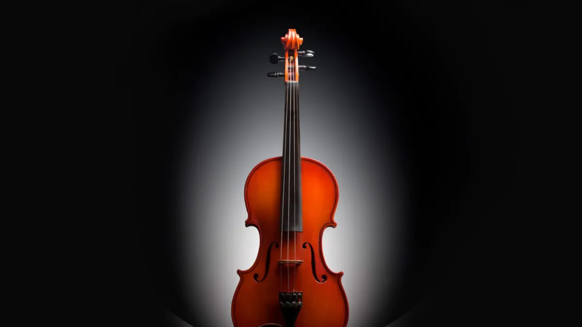 Билеты на концерт Вивальди в Сочи 16 дек 2025