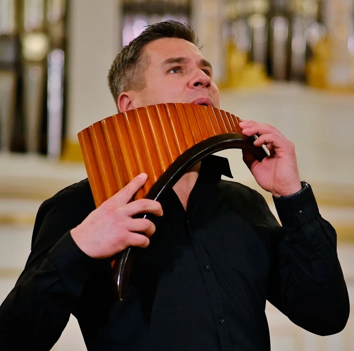 Билеты на концерт органа и флейты Пана в Перми 30 янв 2026