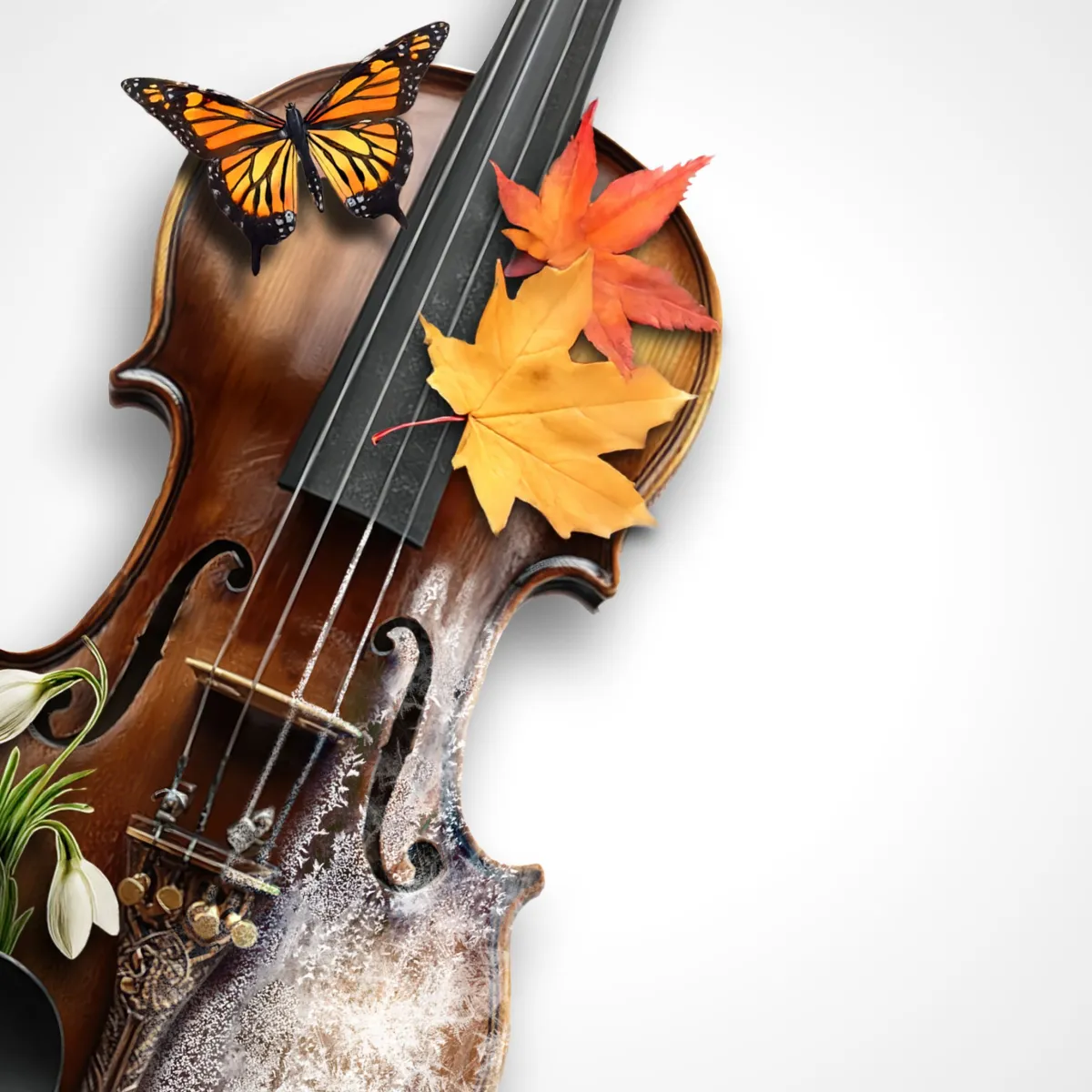 Билеты на концерт Emotions: Времена года 19 дек 2025 СПб