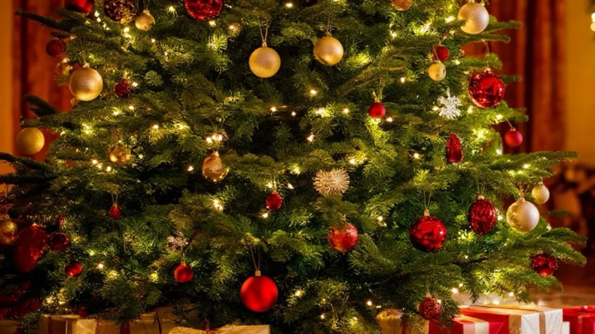 Билеты на концерт Вивальди при свечах 31 Дек 2025 СПб