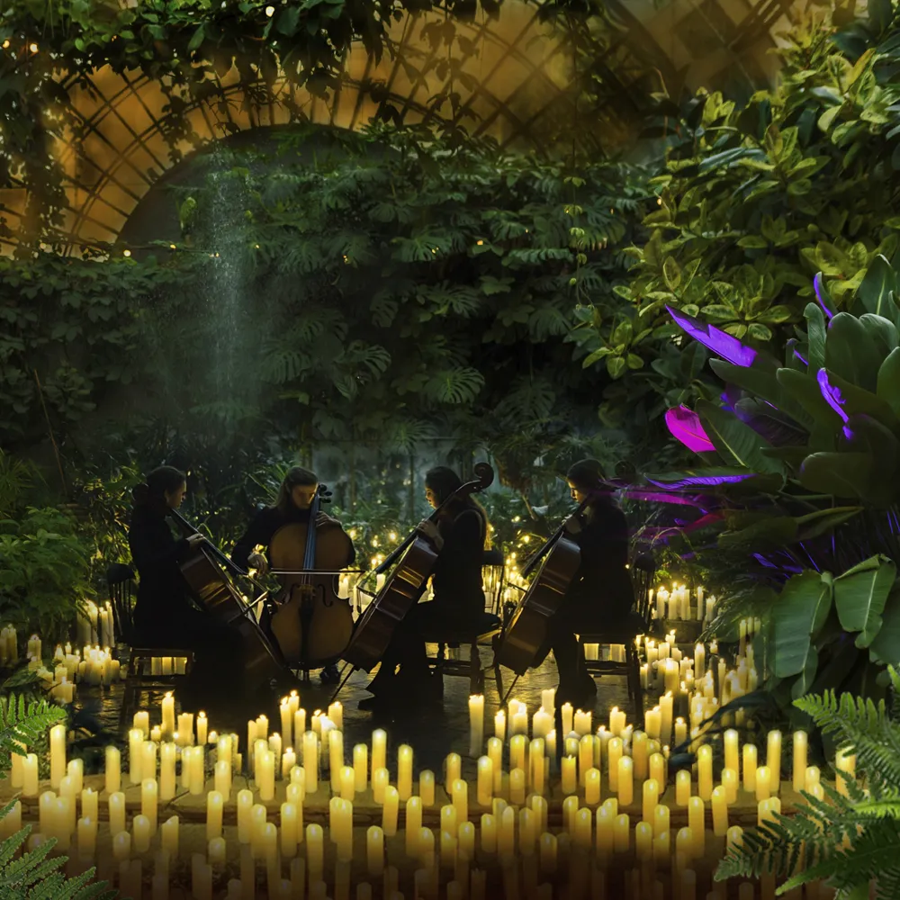 Билеты на концерт Фрэнка Синатры в Оранж...