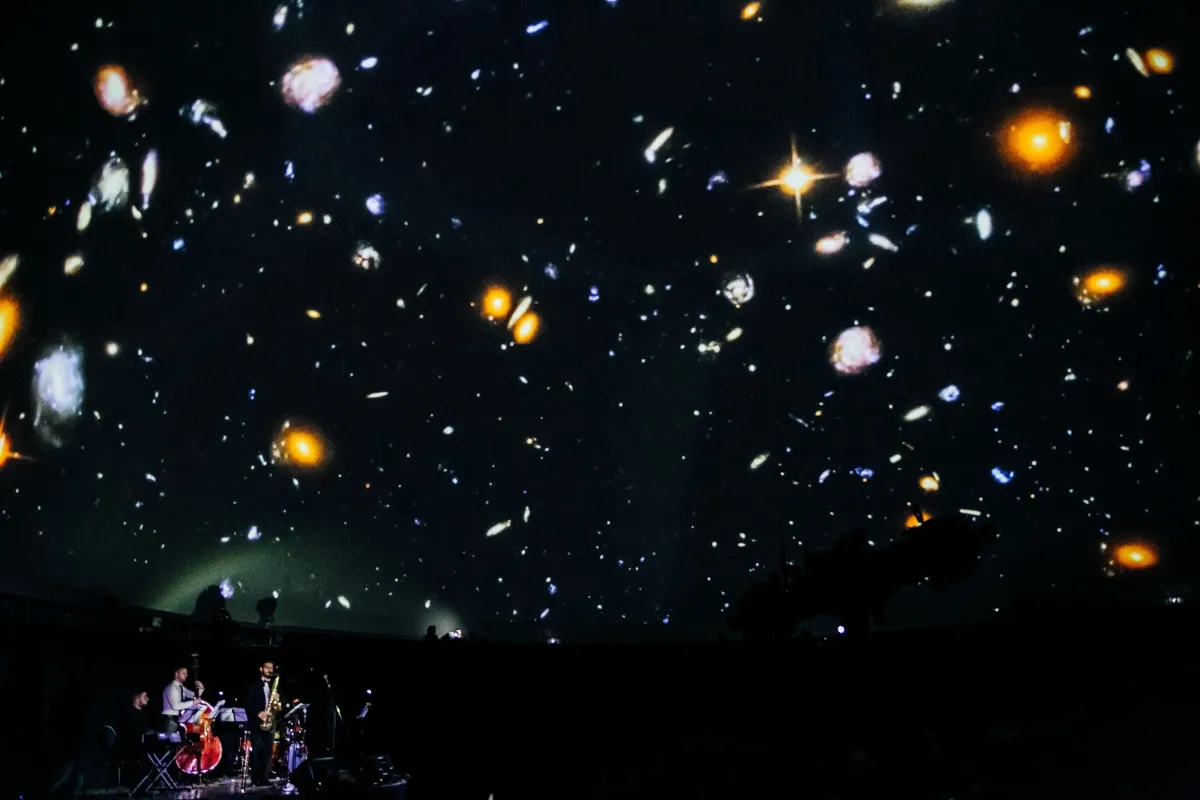 Билеты на концерт Синатры в СПб 29 дек 2025