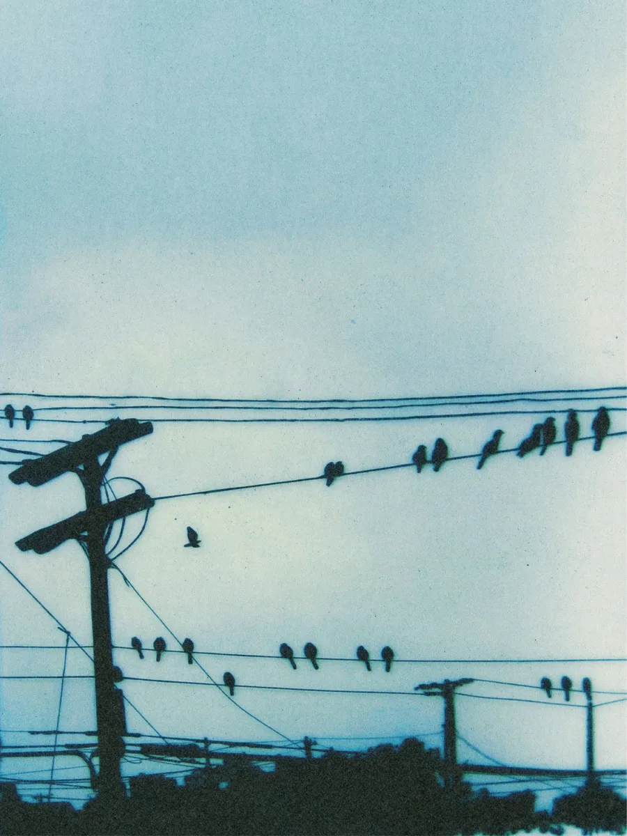 Билеты на фестиваль «Близость» 04 июля 2026 Москва