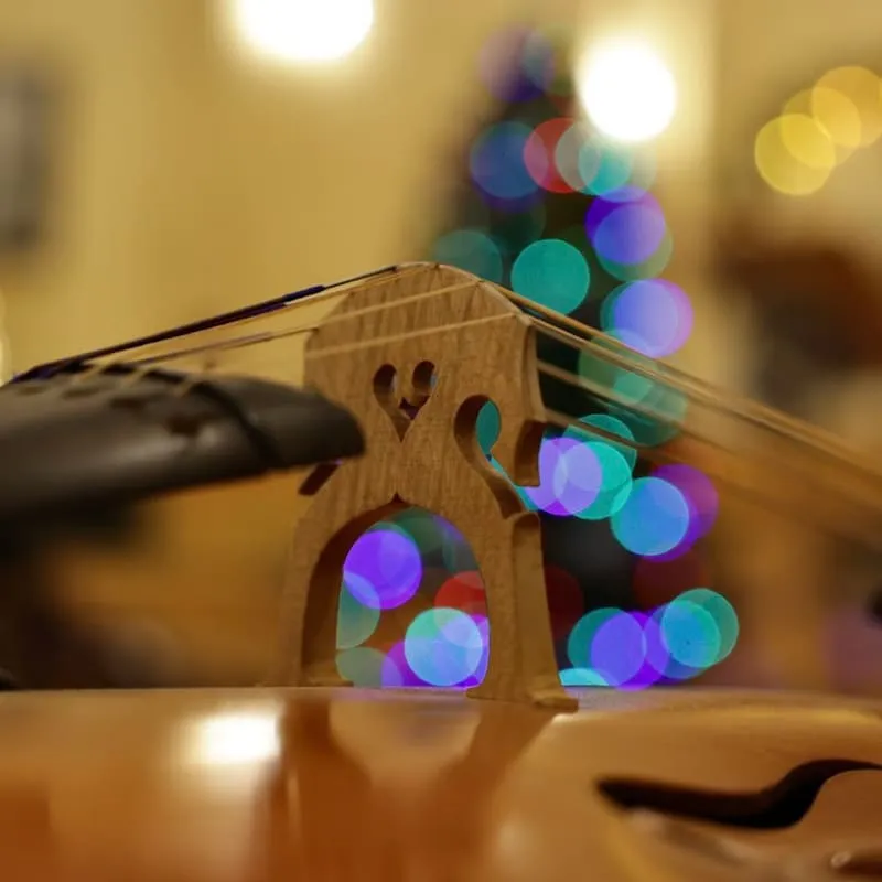 Билеты на концерт барочной музыки 9 янв 2026 СПБ