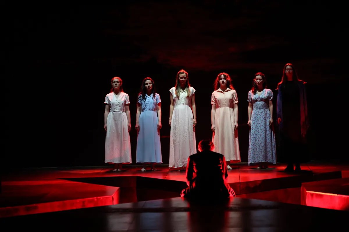 Билеты на спектакль «Ненаглядная сторона» 22 фев 2026