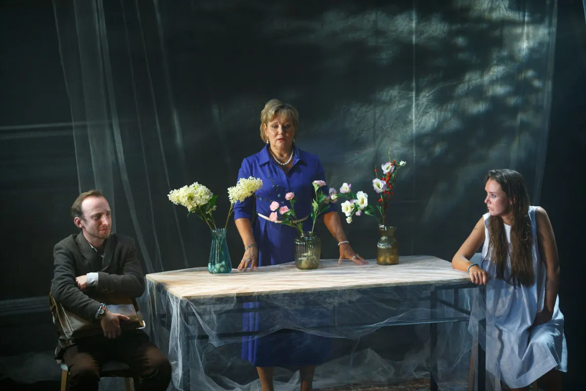 Билеты на Фантазии Фарятьева 25 дек 2025 СПб