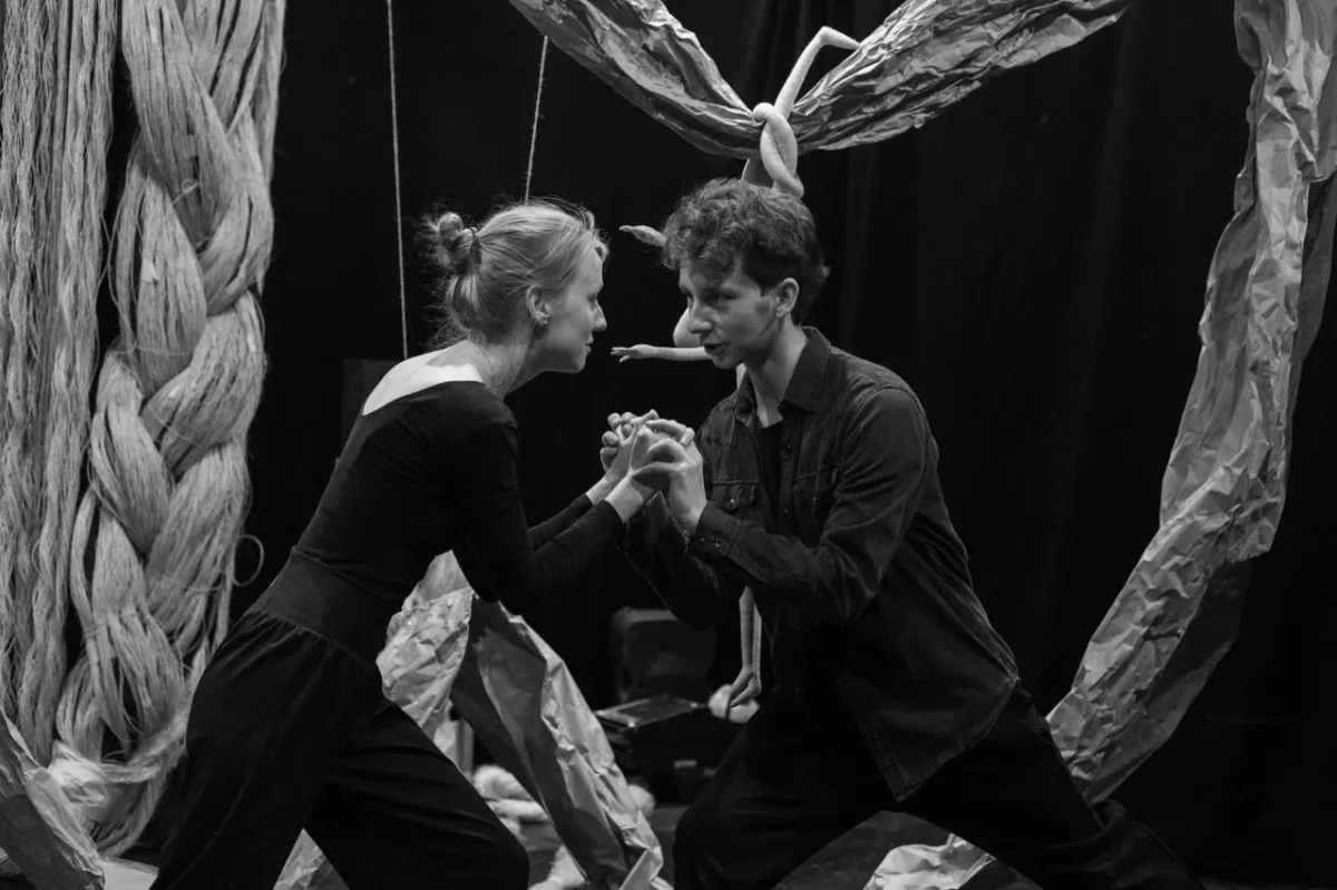 Билеты на Рапунцель в СПб 22 янв 2026 - Театр Кукол