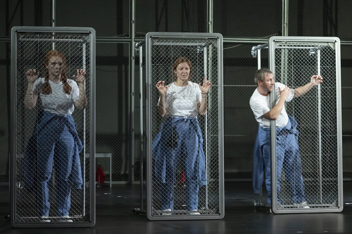 Билеты на спектакль "Звездные псы" 26 дек 2025 СПб