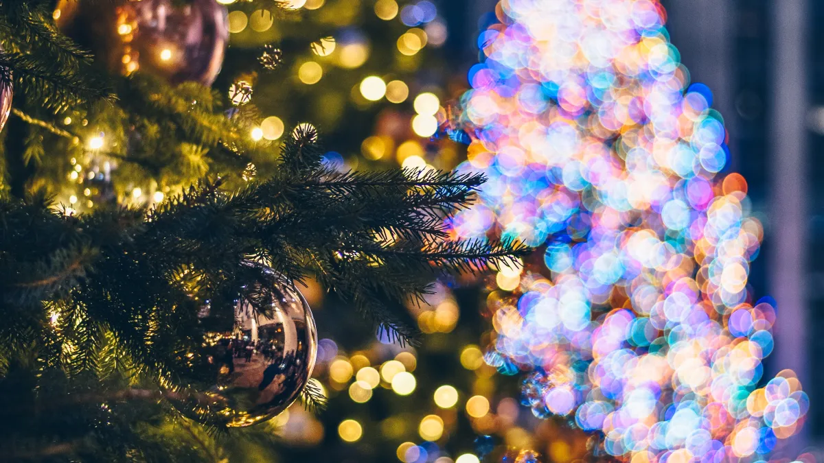 Билеты на Ёжик Фима. Новогодние чудеса в СПб 20 дек 2025