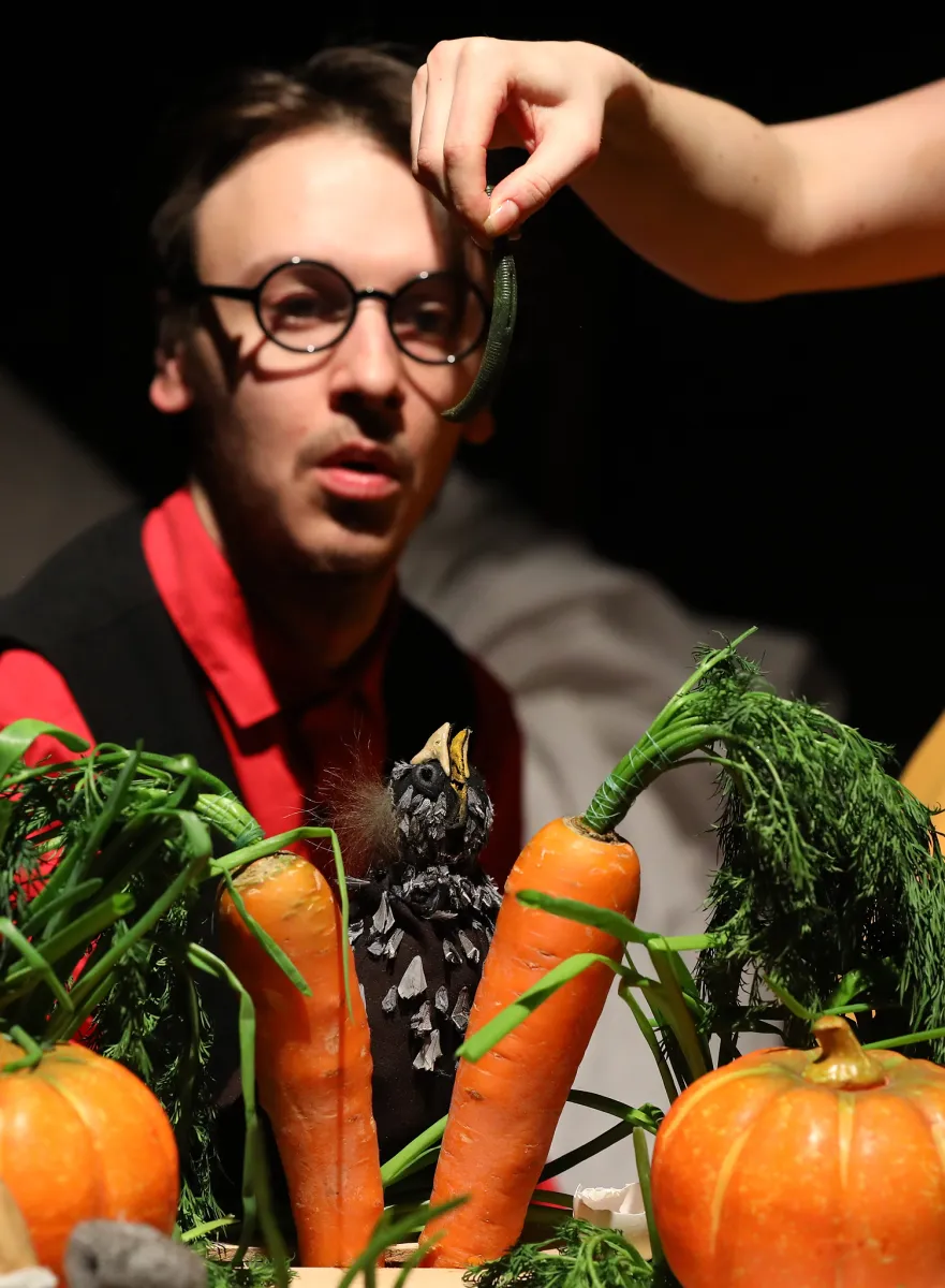 Билеты на Дрозд фрау Майер 18 Янв 2026 СПб