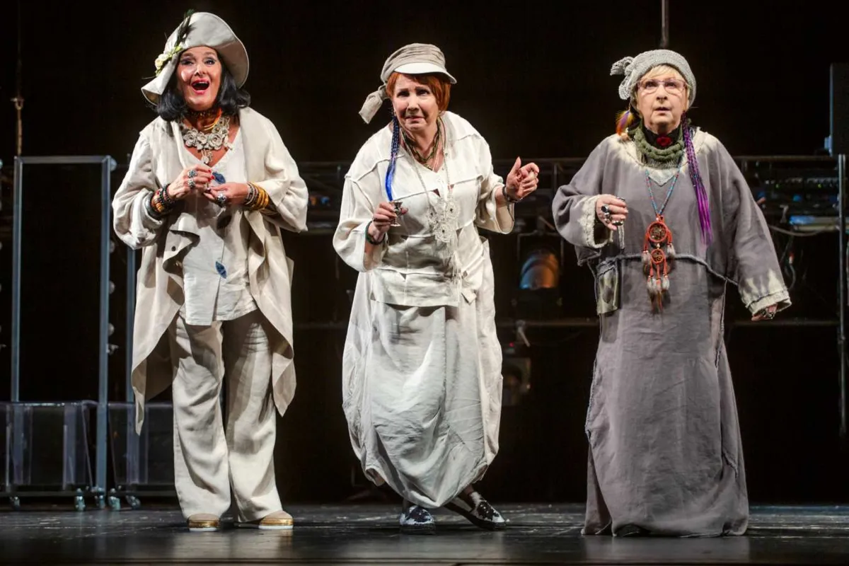 Билеты на Амазонки 30 дек 2025 в СПб