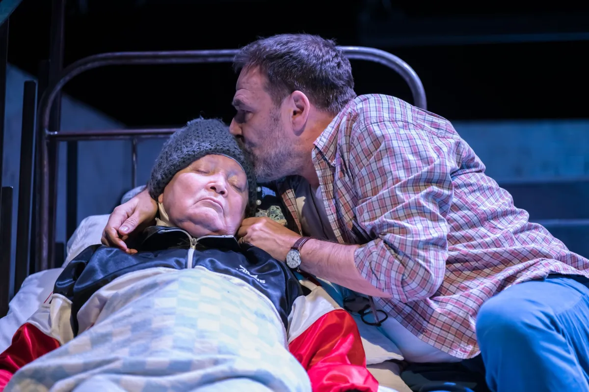 Билеты на "Как Зоя гусей кормила" 28 Дек 2025 СПб