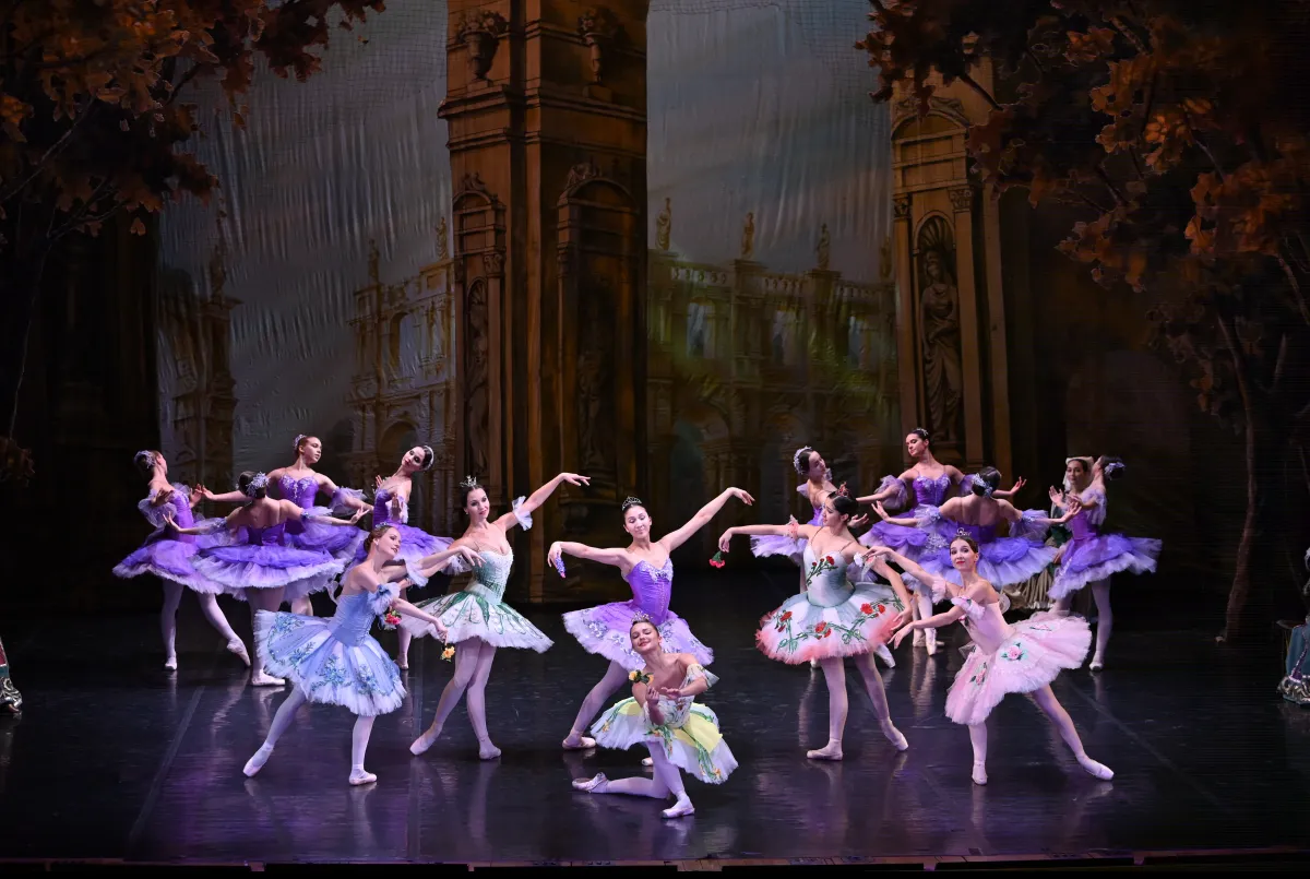 Билеты на "Спящую Красавицу" 23 янв 2026, СПб