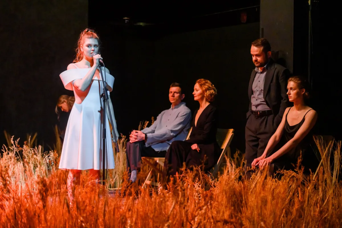 Билеты на «Чайку» 20 дек 2025 в СПб