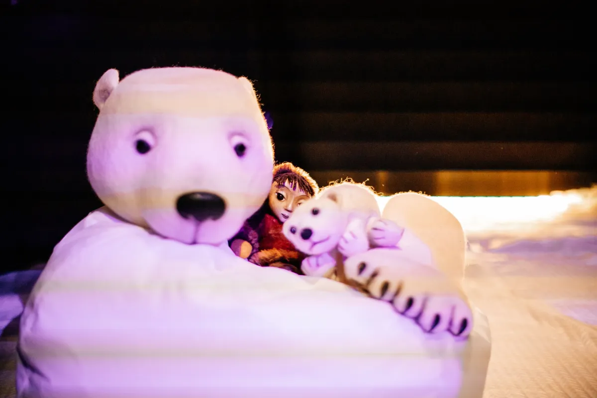 Билеты на Северное сияние 10 янв 2026 Москва