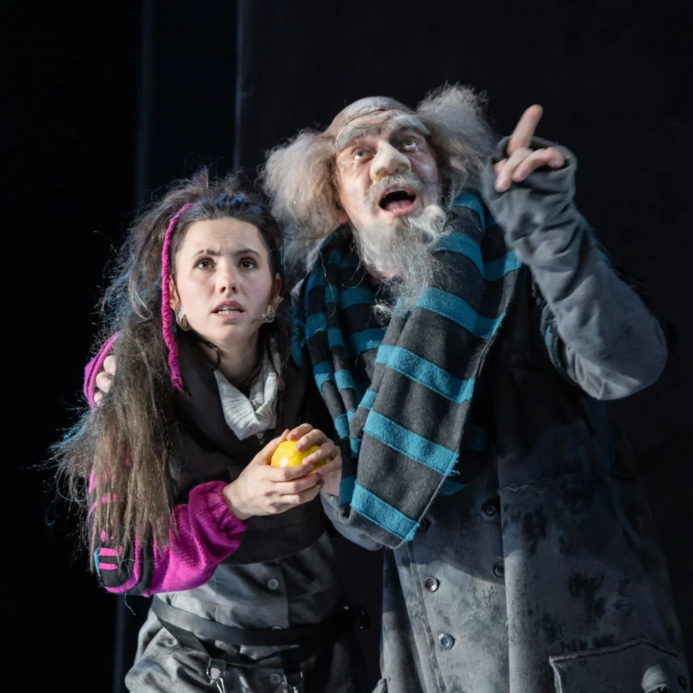 Билеты на Рони, дочь разбойника в Саратове 24 янв 2026