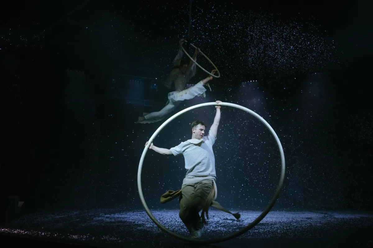 Билеты на Снегопады в Упсала-Цирке 28 дек 2025 СПб