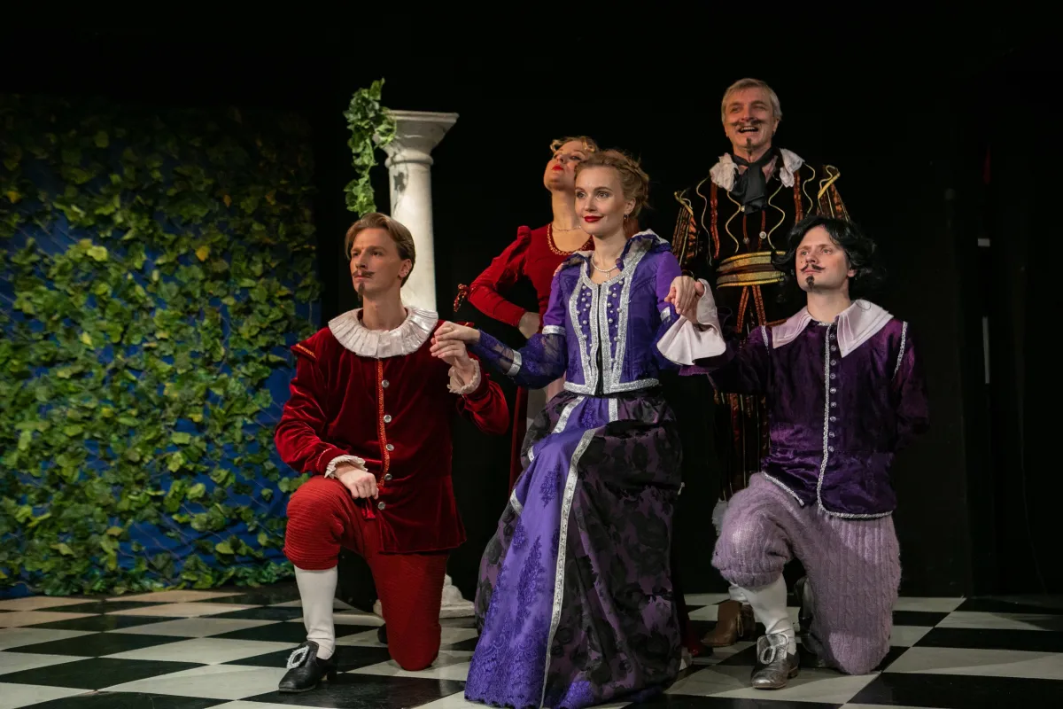 Билеты на "Дурочку" в СПб 24 дек 2025